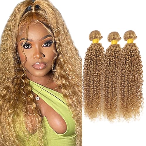 Honey Blonde Bundles Human Hair #27 Kinky Curly Bundles Blonde Human Hair Bundle 20 22 24 Inch 27 Curly Wave Bundle
