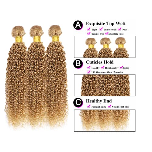 Color #27 Honey Blonde Curly Human Hair Bundles Brazilian Virgin Remy Hair Extensions Double Weft Color 27 Bundles Human Hair Honey Blonde Curly Wave 20 22 24 Inch
