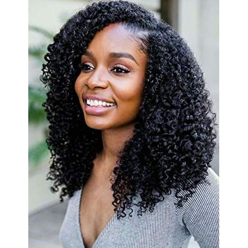 Luwigs 3B 3C Afro Kinky Curly Clip In Hair Extension Natural Color African American Brazilian Human Virgin Hair For Black Women 7pcs/set (20 Inch, 3B 3C Afro Kinky Curly)