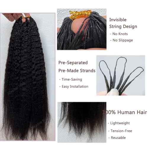 Kinky Straight Knotless Pre Separated Crochet Human Hair Extensions Pre Looped Braids Bundles With Threading Burmese Virgin Human Hair for Braiding Micro Link Meadow Hair 16inch 60g