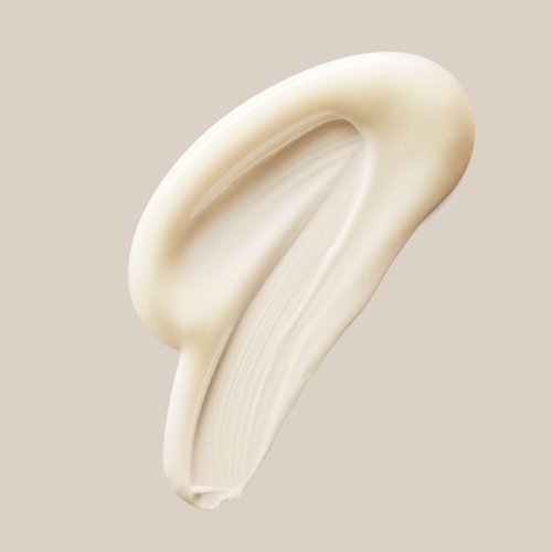 S'ABLE LABS - Baobab Moisturizer Refill | Replenish, Rejuvenate, Restore | Niacinamide + Tranexamic Acid | Melanin-Inclusive Skincare (50 mL | 1.7 fl oz)