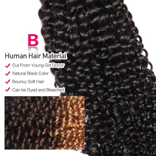 12A Water Wave Human Hair Bundles 14 16 18 Inch Raw Curly Bundles Human Hair,Ultra Double Drawn Sew In Weft No Tangle Shedding,Double Lifespan Virgin Hair,Multiple Washes Keep Texture Silky Soft