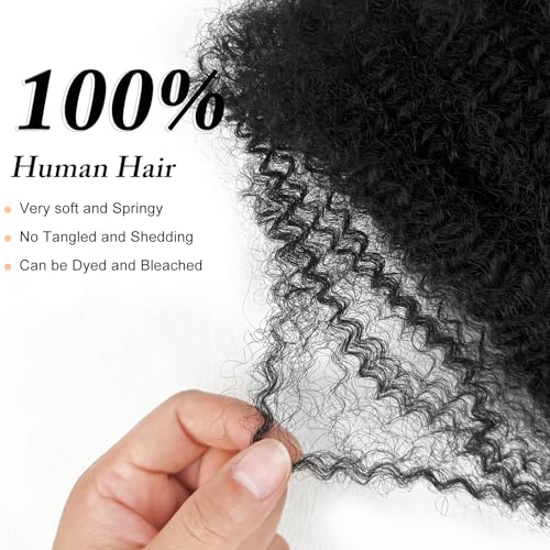 Afro Kinkys Bulk Human Hair For Twist 20 Inch Kinky Curly Human Hair Natural Black For Mini Twists Micro Locs Dreadlock Extensions(20inch 2 Bundles, 1B)