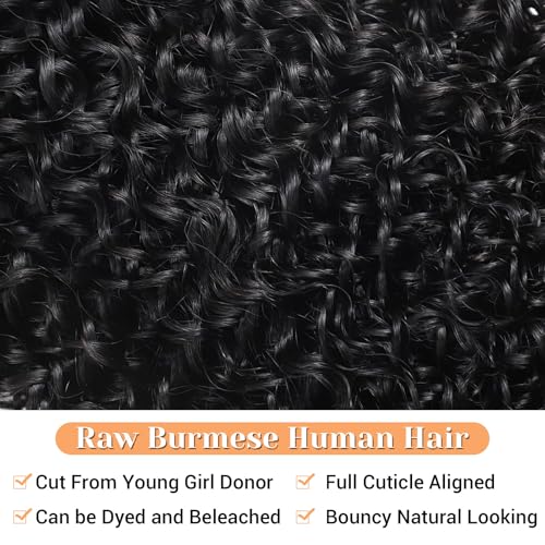 HD Lace Frontal 13x6 Transparent Lace Ear to Ear 16 Inch Burmese Curly Frontal Human Hair 100% Unprocessed Virgin Lace Closure Human Hair Pre Plucked with Baby Hair 150% Density