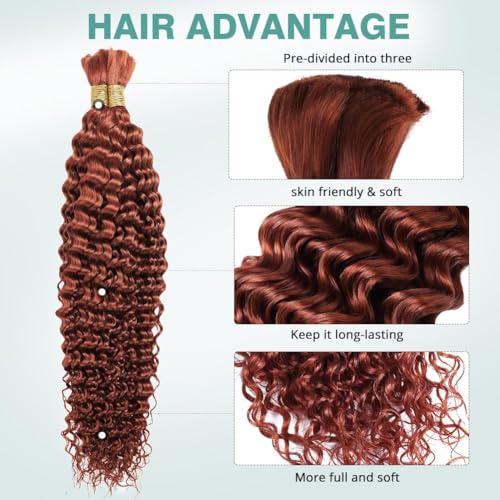 100g 24 Inch Deep Wave Bulk Human Braiding Hair Color 350 Human Braiding Hair for Boho Braids 2 Bundles/Pack No Weft 100 Percent Brazilian Human Braiding Hair Extensions for Micro Braiding