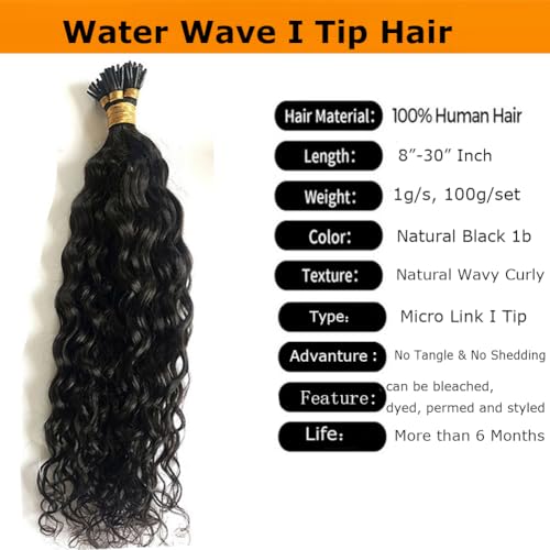 Water Wave I Tip Human Hair Extension Pre Bonded Raw I Tip Keratin Fushion Hair Natural Wavy Curly 100g/100 strand 24inch Microlink Beads I Tip Hair Extensions