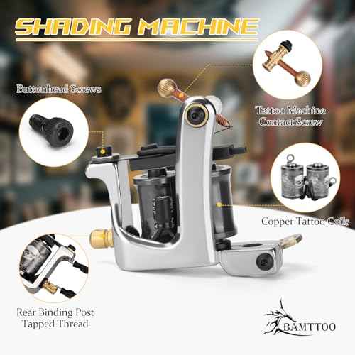Complete Tattoo Coil Machine Kit 2 Sets Tattoo Gun Liner Shader Coils Machine Tattoo Power Supply Needles Tips for Beginners Artists