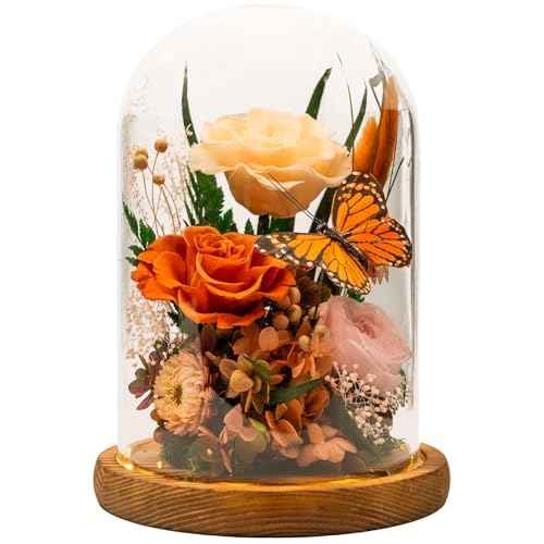 Eternal Flowers with Butterfly: Big Is Love Series-Elegant Preserved Flowers in Glass Dome-Valentines, Anniversary, Mom Gifts for Her-Flowers for Delivery Prime-Flower Arrangements (Orange)