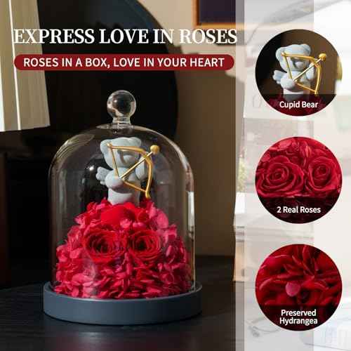 SEEROSE Preserved Rose with Cupid Bear in Glass Dome, Eternal Real Rose Romantic Gift for Her, Women, Mom, Wife, Girlfriend, Valentine¡¯s Day, Mother¡¯s Day, Christmas, Birthday (Cupid Bear, Red)