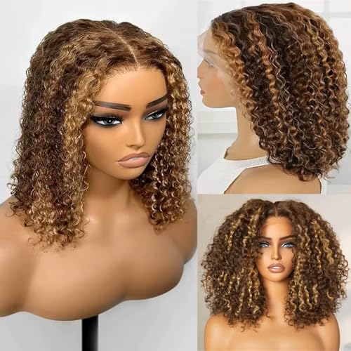 Bob Wig Human Hair Highlight Ombre 13x6 Frontal Lace Wig Deep Curly Virgin Human Hair Wig Pre Plucked HD Transparent Lace Frontal Wigs for Women 14 Inch