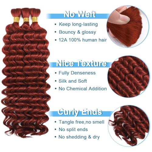 Human Braiding Hair For Boho Braids 24 Inch 110g Deep Wave Bulk Human Hair for Braiding Knotless 12A 100% Brazilian Virgin Hair Extensions Bulk Bohemian 3 Bundles Color Copper
