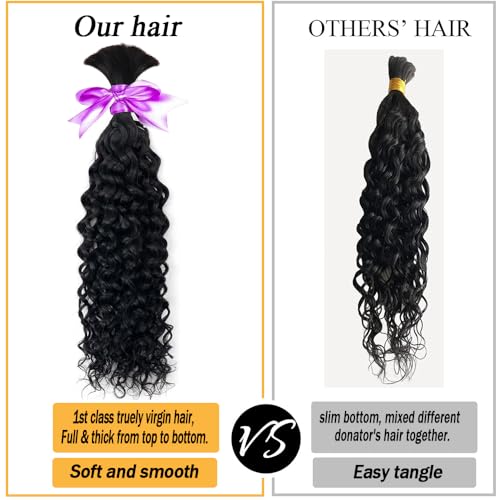 Human Braiding Hair for Boho Knotless Braids Bulk Curly Bundles Human Hair for Micro Braiding Wet and Wavy Water Wave No Weft Human Hair Extension for Box Boho Braids 100g with 2 Bundles Natural Color