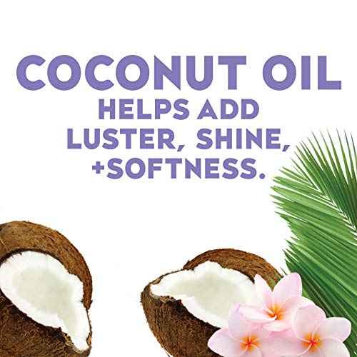 OGX Nourishing + Coconut Oil Weightless Hydrating Oil Hair Mist, Lightweight Leave-In Hair Treatment with Coconut Oil & Bamboo Extract, Paraben & Sulfate Surfactant-Free, 4 Fl Oz