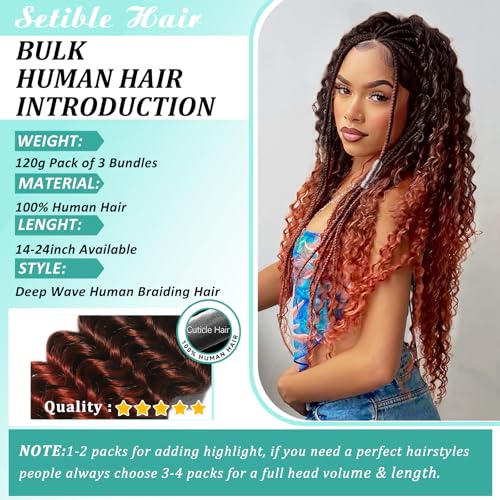 Ombre Human Braiding Hair for Boho Braids 20 Inch 120g Deep Wave Bulk Boho Human Hair for Braiding Curly Knotless Bohemian Braids 12A 100% Brazilian Virgin No Weft Extensions 3 Bundles/Pack T1B/350