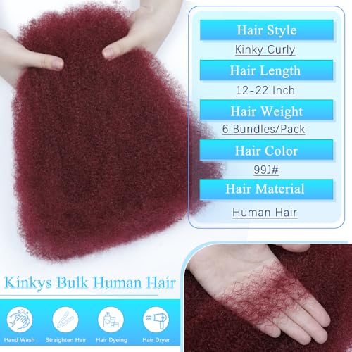 Afro Kinkys Bulk Human Hair 14 Inch Afro Kinky-Curly Human Hair Bulk for Twist Dreadlock Extensions Locs Repair Soft 4C Curly for Braids 6 Bundles 90 Gram Burgundy#
