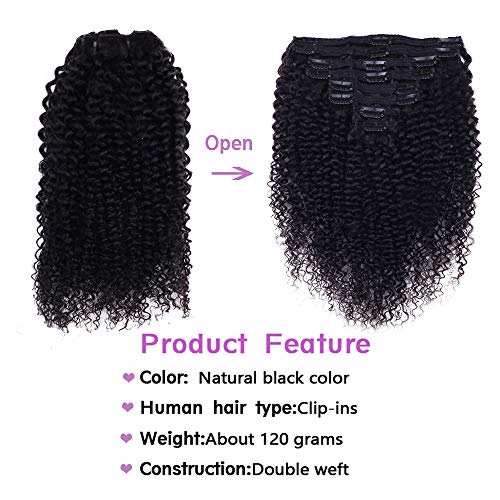 Curly Clip in Hair Extensions For Black Women Brazilian Virgin Human Hair Clip in Extensions for Women 8Pcs Remy Hair with 18Clips 120g 22inch Natural Blackinches