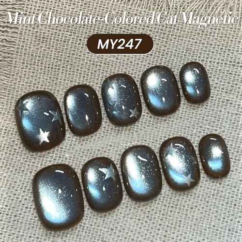 BORN PRETTY Cat Magnetic Eye Gel Nail Polish, Mint Chocolate Blue Glitter Cat Magnetic Gel Nail Polish Magnetic Nail Polish for Nail Art Manicure Salon DIY at Home 15ML