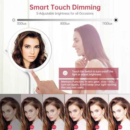 AMIRO 8'' LED Makeup Mirror, 5-Level Brightness/Touch Screen Control/Memory Function/180¡Æ Rotation/Detachable Small 5X Magnification Mirror