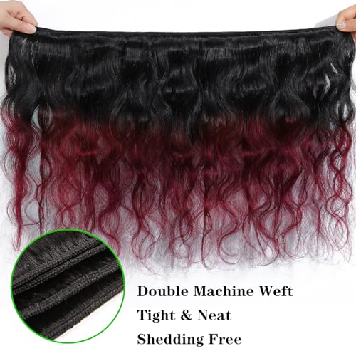 Kapelli Hair Ombre Human Hair Bundles Body Wave (14 16 18) 100% Unprocessed Brazilian Virgin Remy Hair Body Wave Bundles 2 Tone Black to Burgundy Human Hair Weave for Women