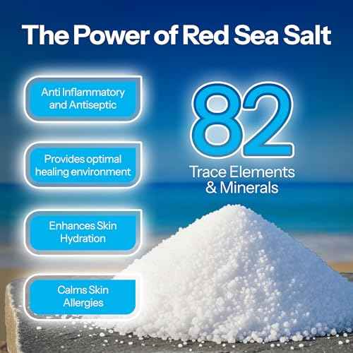 H2Ocean Piercing Aftercare Spray and Keloid Bump Removal? Sea Salt Spray for Body and Facial Piercings ? Ear, Nose, Navel, Oral & Body Piercing Cleaner, Aftercare Solution for New Piercings? 4oz