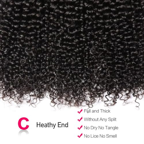 12A Water Wave Human Hair Bundles 14 16 18 Inch Raw Curly Bundles Human Hair,Ultra Double Drawn Sew In Weft No Tangle Shedding,Double Lifespan Virgin Hair,Multiple Washes Keep Texture Silky Soft