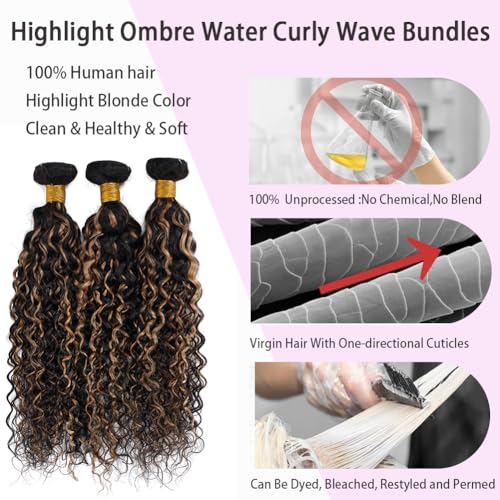 Highlight Water Wave Bundles with Closure Human Hair Honey Brown Balayage Curly Wave Human Hair Bundle 1B/27 Colored 3 Bundles with 4x4 HD Lace Closure Free Part (10 12 14+10)