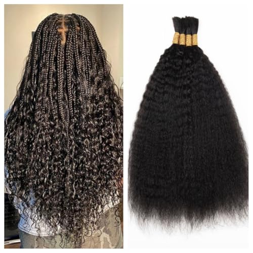 Kinky Straight Human Braiding Hair For Boho Braids Wet and Wavy Bulk Human Hair No Weft 100g (1Pack-4PCS) Yaki Straight For Micro Braiding (Kinky Straight£¨#1B), 22 Inch)