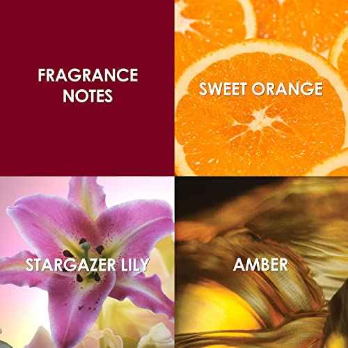 Britney Spears Hidden Fantasy, Eau De Parfum EDP Spray for Women, 3.3 Fl Oz