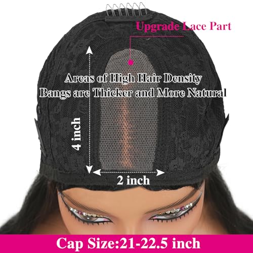 Human Hair Lace Front Wig, 200% Density Brazilian Virgin Hair, Natural Black, Straight Style with Bangs, 2x4 Lace Closure Wig Glueless Design for Women(12 Inch)
