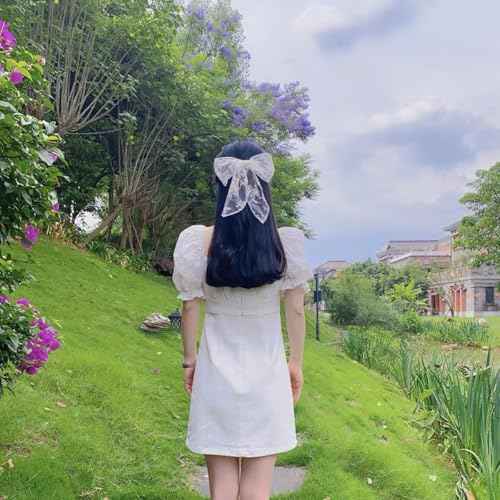 2PCS Large Lace Hair Bow Clips for Women Drape Bow Translucent Mesh Bow Barrette Hair Accessories for Girls Women (Black+White)