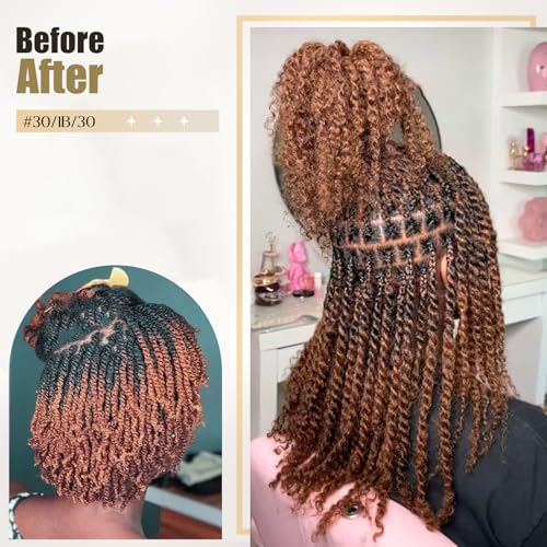 Afro Kinky Bulk Human Hair, 4C, 50g/pack, Braiding Hair for Mini Twists and Sister Locs (#30/1b/30 20inch)