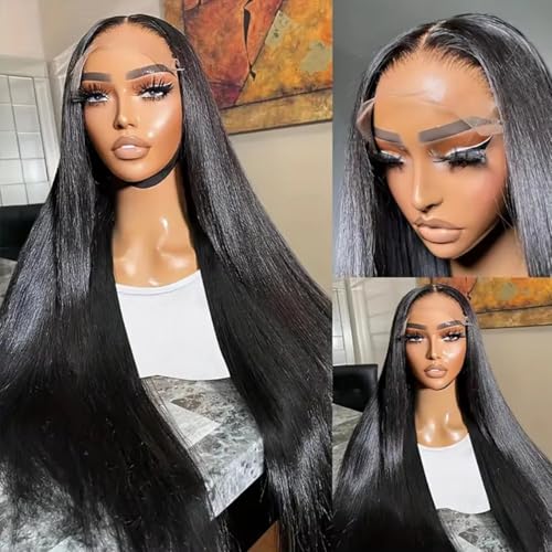 Straight Lace Front Wigs Human Hair Pre Plucked 13x6 Glueless HD Lace Frontal Wig with Baby Hair - Natural Black Color, 22 Inch
