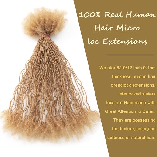 EV&ET Micro Locs Extesnions Human Hair 0.2cm Thickness Sisterlocks Curly Tips, Full Handmade Interlocking Permanent Soft Dreadlock Extensions Natural Looking Locs (#27 40pieces, 8inch 0.2cm)