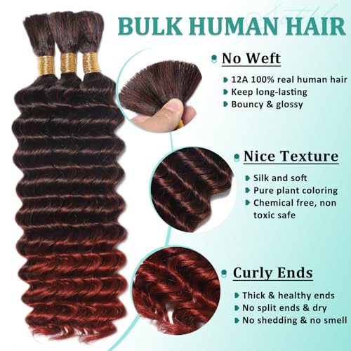 Ombre Human Braiding Hair for Boho Braids 20 Inch 120g Deep Wave Bulk Boho Human Hair for Braiding Curly Knotless Bohemian Braids 12A 100% Brazilian Virgin No Weft Extensions 3 Bundles/Pack T1B/350