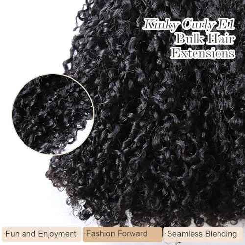 Afro Kinky Bulk Human Braiding Hair 100% Unprocessed Brazilian Virgin Human Hair Extensions Micro Kinky Curly Braids Hair Braids Double Drown Full End Bulk Hair 14 Inch 100g (Pack of 1)