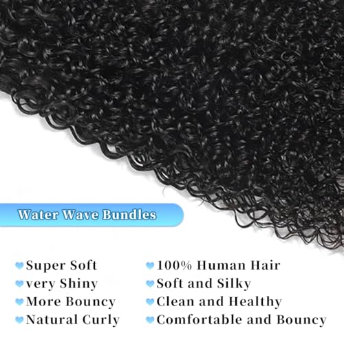 Water Wave Human Hair Bundles 20 22 24 Inch 12A Burmese Deerp Curly Bundles Human Hair 100% Unprocessed Wet and Wavy 3PC Bundles Human Hair Extensions Natural Black