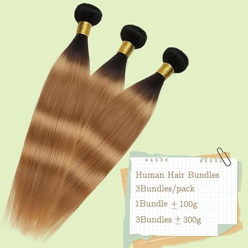 Honey Blonde Bundles Human Hiar 20 22 24 inch Ombre Straight Hair Weave for Black Women Brazilian Virgin Hair 12A Quick Weave 3 Bundles Double Weft£¨Black Ombre Honey Blonde£¬#T1B/27)