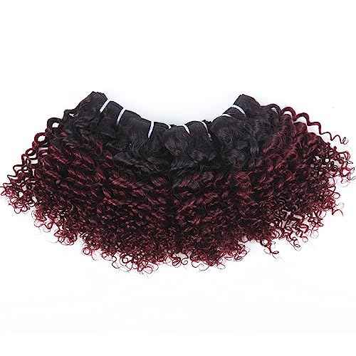1b/99j Curly Human Hair Bundles and Closure(10 10 10+10) Kinky Curly Bundles Human Hair Brazilian Virgin Ombre 99j Burgundy Red Human Hair 3 Bundles with 4x4 Closure 50 Gram/Bundle