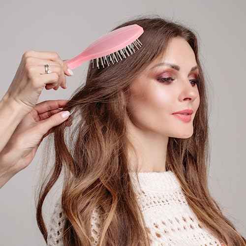 2 Pack Stainless Steel Wig Wire Brush, Portable Professional Synthetic Hair Brush and Combs for Wigs, Extensions, Women