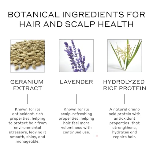 ZENAGEN Volume Foam | Lightweight Densifier + Volumizer, Boosts Hair Volume & Thickness, Provides Lightweight Hold, Nourishes & Strengthens Hair, Non-Greasy Plant-Based, Vegan, All Hair Types