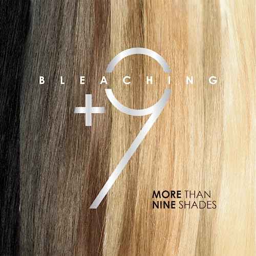 BLONDISH PLEX + 9 | Hair Bleaching Powder | Plex Hair Bleach | Highlights | Hair Lightener | Plex | Lightens more than 9 Tones | 500gr | 17.6oz