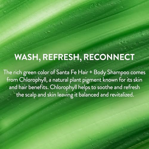 PHILIP B Santa Fe Hair and Body Shampoo (11.8 Fl Oz) - Gentle Cleanser, Hydrates and Softens with Shea Butter & Vitamin B5