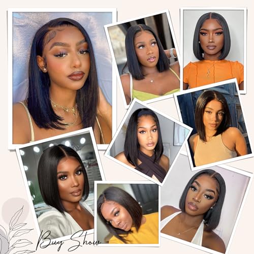 Tinashe Wear and Go Glueless Bob Wigs Human Hair 5x6 HD Lace Closure Wigs Pre Plucked Bob Straight Lace Front Wigs Human Hair Short Wigs for Black Women (Black Straight Bob Wig, 10inch)