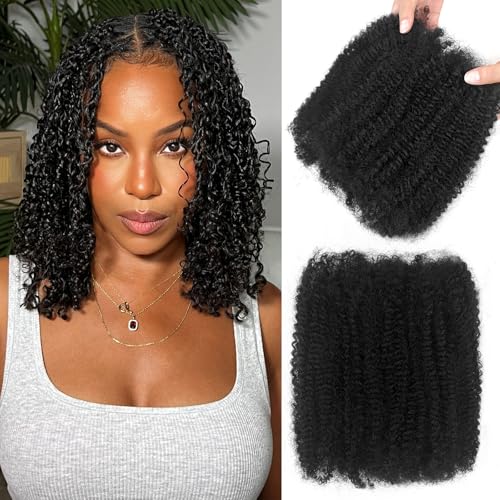 Afro Kinkys Bulk Human Hair For Twist 20 Inch Kinky Curly Human Hair Natural Black For Mini Twists Micro Locs Dreadlock Extensions(20inch 2 Bundles, 1B)
