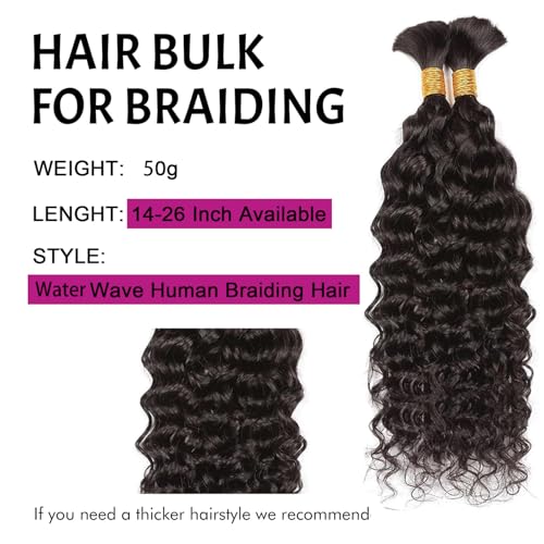 Human Braiding Hair for Boho Braids 100g Curly Boho Hair for Braiding Knotless 12A Wet and Wavy Bulk Bohemian 2 Bundles/Pack Deep Wave 100% Human Hair Extensions Natural Color 24 Inch