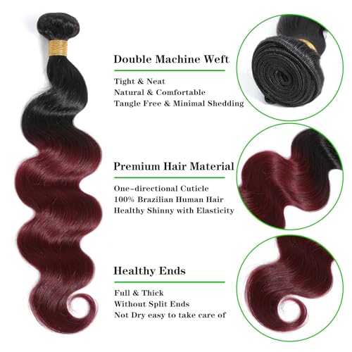 Kapelli Hair Ombre Human Hair Bundles Body Wave (14 16 18) 100% Unprocessed Brazilian Virgin Remy Hair Body Wave Bundles 2 Tone Black to Burgundy Human Hair Weave for Women