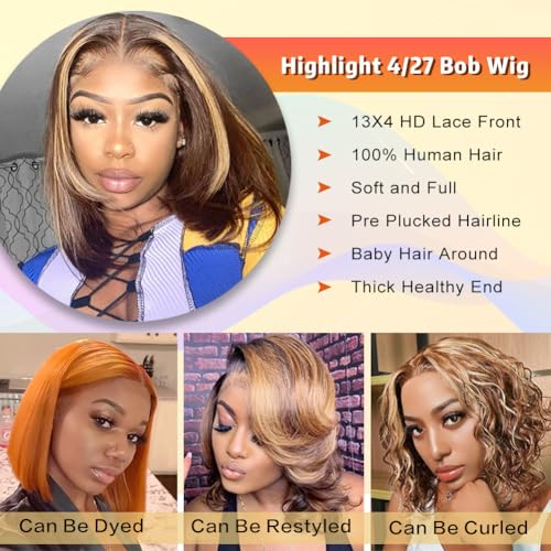 Bob Wig Human Hair 13x4 HD Lace Frontal Short Straight Lace Front Bob Wigs for Black Women Human Hair Pre Plucked Glueless Side Part 180% Density Ombre Highlight 4/27 12 Inch