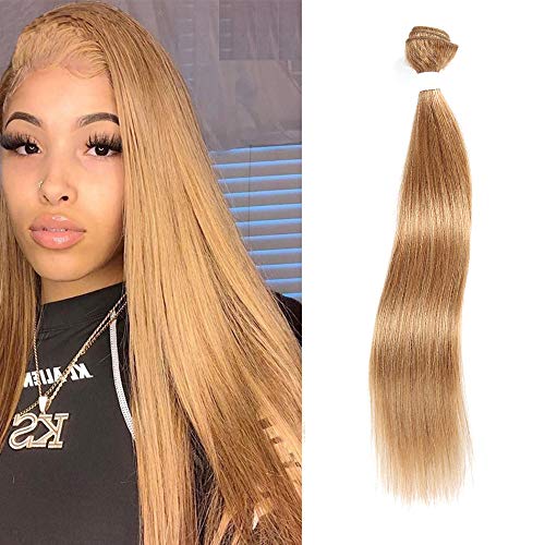 X-TRESS Honey Blone Bundle Human Hair Color #27 Hair Weave Straight for Women 100% Brazilian Virgin Remy Hair in Hair Extension Human Hair Weave Daily Use (24 Inch)