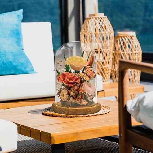 Eternal Flowers with Butterfly: Big Is Love Series-Elegant Preserved Flowers in Glass Dome-Valentines, Anniversary, Mom Gifts for Her-Flowers for Delivery Prime-Flower Arrangements (Orange)