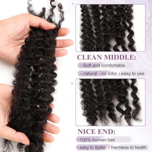 2 Packs Afro Kinkys Bulk Human Hair 18 Inch 50g/Pack for Permanent Micro Locs Mini Kinky Twist Braids Loc Extensions Dreadlock Extensions Repair Locs Can Be Bleached Dyed (Natural Black)
